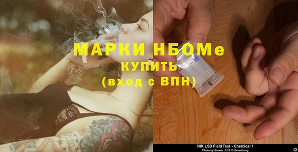 индика Новодвинск
