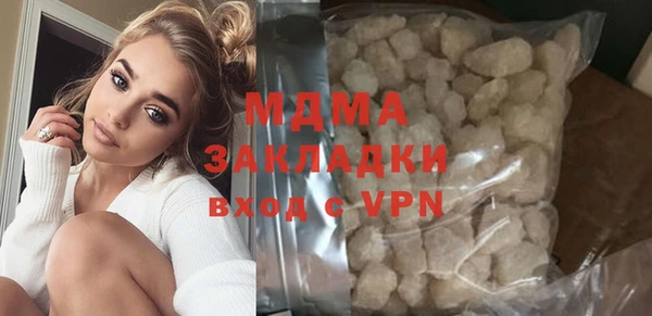 индика Новодвинск