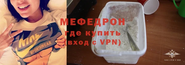 индика Новодвинск