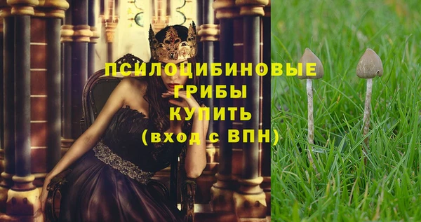 индика Новодвинск