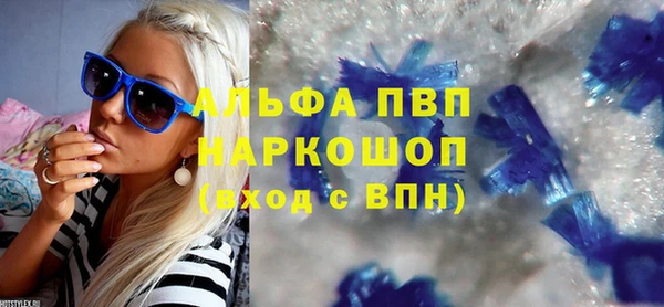 индика Новодвинск