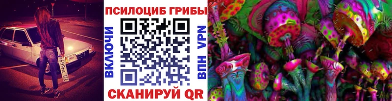 купить закладку  Ливны  Псилоцибиновые грибы Psilocybe 